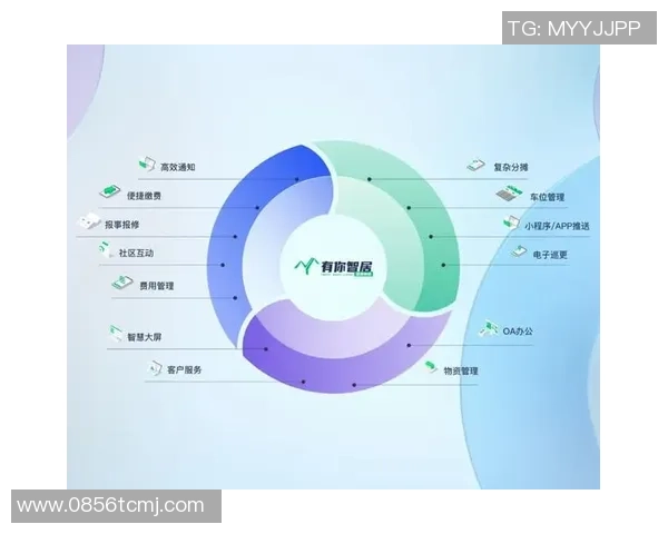 杭州网球队实力深度剖析与对比探讨全面解读各队优势与不足