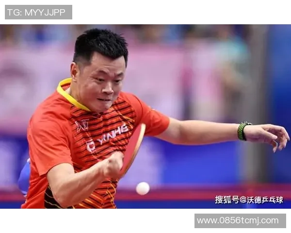 王磊专访:从青涩少年到乒乓球冠军的奋斗历程回顾 王磊专访:从青涩少年到乒乓球冠军的奋斗历程回顾