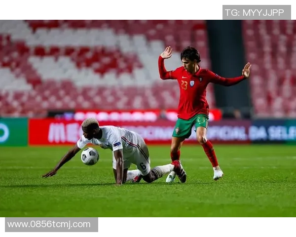 葡萄牙足球传奇人物回顾：那些年我们一起追逐的绿茵梦想