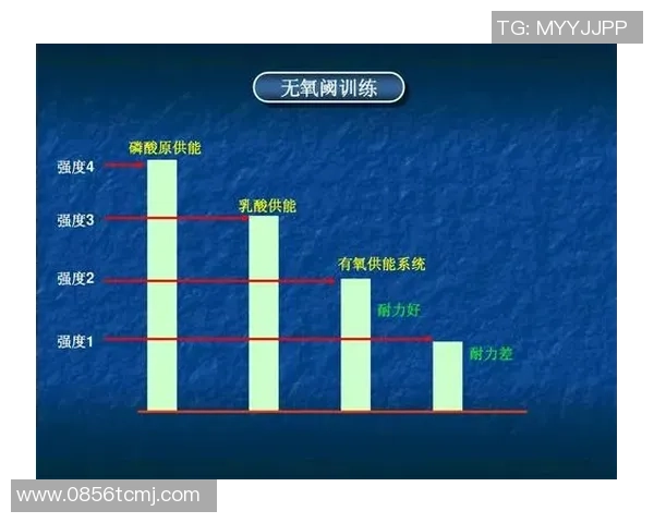 西安羽毛球队战术解析与控制体系的深度剖析与实践应用