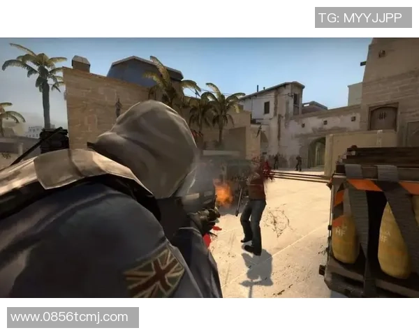 最新CS_GO技术TOP10：V5领跑