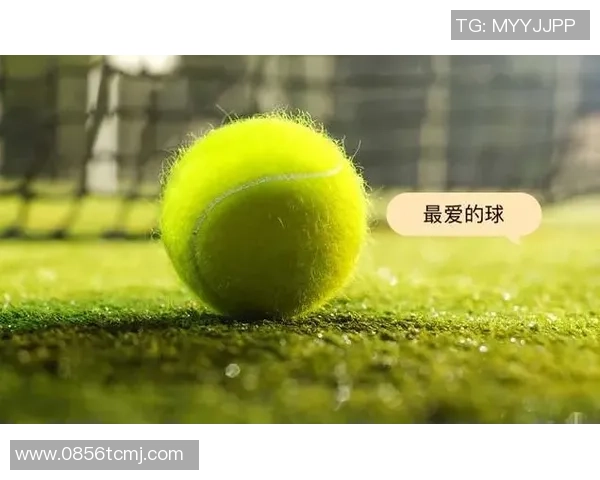 网球新手攻略：战术入门指南_1